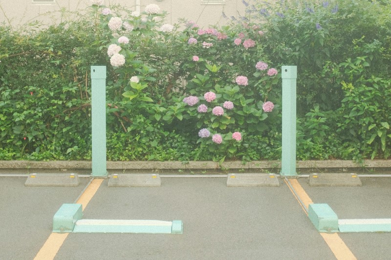 low-profile design parking locks